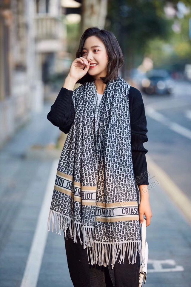 Dior女圍巾 高端面料 迪奧羊絨混紡長圍巾  llwj6388